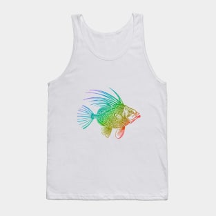 Rainbow John Dory Fish Tank Top